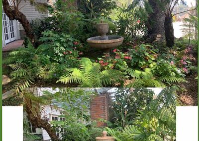 Landscape Design San Diego - Deisgn Biophilic San Diego & South Orange County, CA